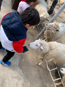 神戸どうぶつ王国に投稿された画像（2025/2/7）