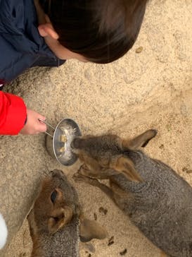 神戸どうぶつ王国に投稿された画像（2025/2/7）