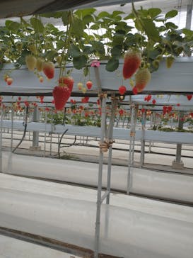 株式会社こまち野に投稿された画像（2025/2/7）