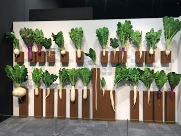 特別展「和食～日本の自然、人々の知恵～」に投稿された画像（2025/2/7）