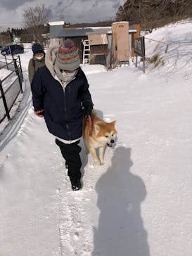 一般社団法人ヘルスケアデザイン秋田に投稿された画像（2025/2/7）