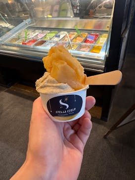 星野リゾート　トマムスキー場に投稿された画像（2025/2/7）