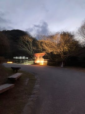 ニジゲンノモリに投稿された画像（2025/2/7）