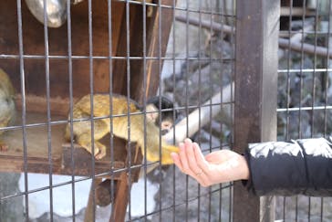 伊豆シャボテン動物公園に投稿された画像（2025/2/7）