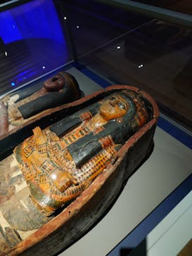 ブルックリン博物館所蔵 特別展 古代エジプトに投稿された画像（2025/2/8）