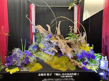 世界らん展2026-花と緑の祭典-に投稿された画像（2025/2/8）