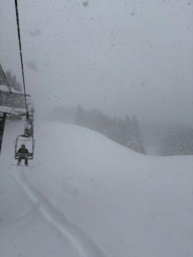 ホワイトバレーみなかみに投稿された画像（2025/2/8）