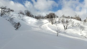 ニュー・グリーンピア津南に投稿された画像（2025/2/8）