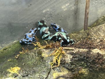 サンシャイン水族館に投稿された画像（2025/2/8）