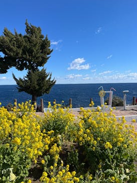 ニューヨークランプミュージアム＆フラワーガーデンに投稿された画像（2025/2/8）