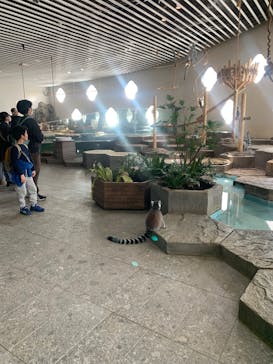 NIFREL（ニフレル）に投稿された画像（2025/2/8）