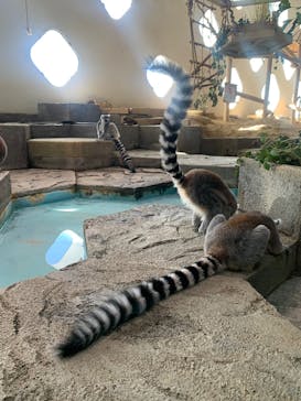 NIFREL（ニフレル）に投稿された画像（2025/2/8）