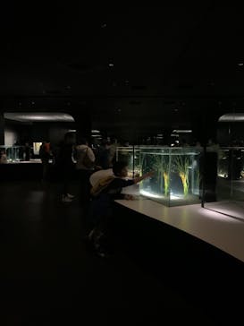 NIFREL（ニフレル）に投稿された画像（2025/2/8）