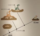 特別展「鳥 ～ゲノム解析が解き明かす新しい鳥類の系統～」国立科学博物館に投稿された画像（2025/2/4）