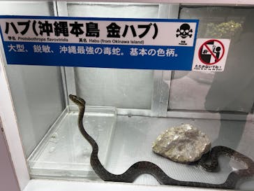 おきなわワールドに投稿された画像（2025/2/8）