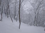 エイブル白馬五竜＆Hakuba47に投稿された画像（2025/2/8）