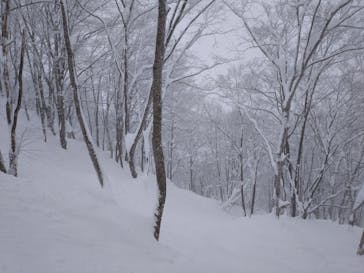 エイブル白馬五竜＆Hakuba47に投稿された画像（2025/2/8）