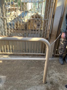 東武動物公園に投稿された画像（2025/2/8）