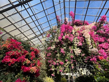 熱川バナナワニ園に投稿された画像（2025/2/8）