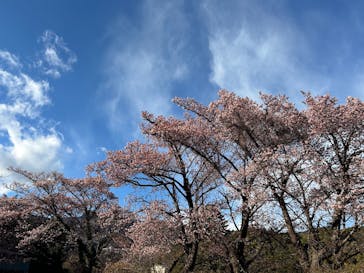 熱川バナナワニ園に投稿された画像（2025/2/8）