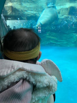 大分マリーンパレス水族館 「うみたまご」に投稿された画像（2025/2/8）