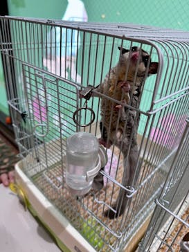 いきもの探検隊湘南に投稿された画像（2025/2/8）