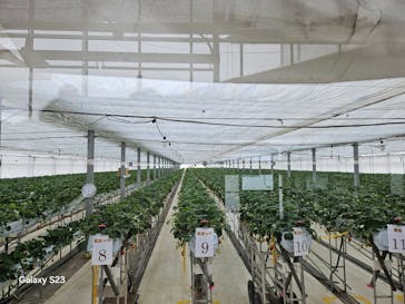 株式会社こまち野に投稿された画像（2025/2/8）