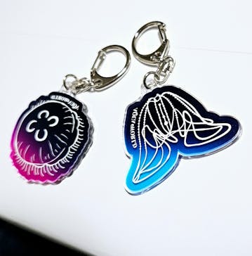 アクアワールド茨城県大洗水族館に投稿された画像（2025/2/8）