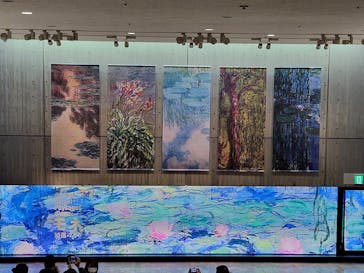 モネ 睡蓮のとき（国立西洋美術館）に投稿された画像（2025/2/8）