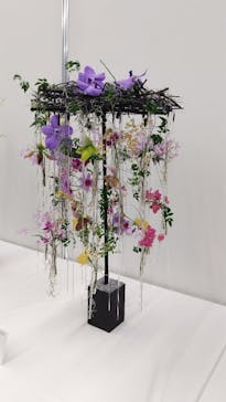 世界らん展2026-花と緑の祭典-に投稿された画像（2025/2/8）