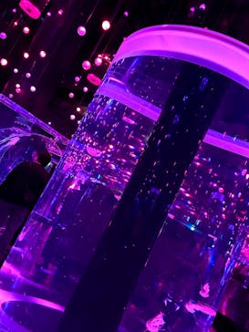 マクセル アクアパーク品川に投稿された画像（2025/2/8）