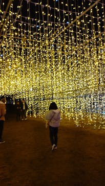 大阪城イルミナージュに投稿された画像（2025/2/8）