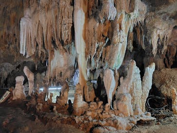 石垣島鍾乳洞に投稿された画像（2025/2/8）