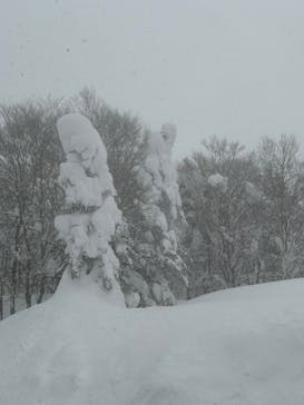 蔵王ロープウェイに投稿された画像（2025/2/8）