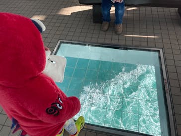 徳島県立 渦の道に投稿された画像（2025/2/8）