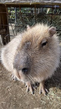 長崎バイオパークに投稿された画像（2025/2/8）