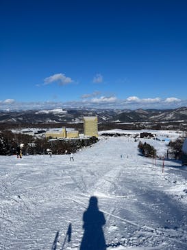 安比高原スキー場に投稿された画像（2025/2/8）