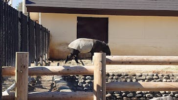 東武動物公園に投稿された画像（2025/2/8）