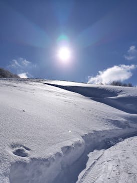 たざわ湖スキー場に投稿された画像（2025/2/8）
