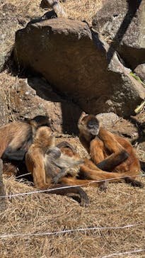 伊豆シャボテン動物公園に投稿された画像（2025/2/8）
