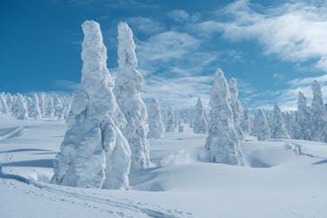 阿仁スキー場に投稿された画像（2025/2/8）