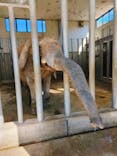 しろとり動物園に投稿された画像（2025/2/8）