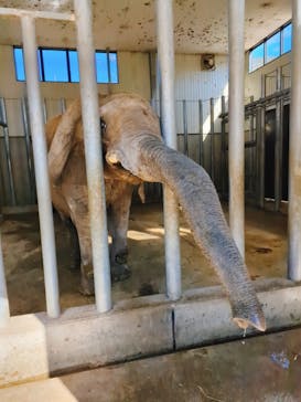 しろとり動物園に投稿された画像（2025/2/8）