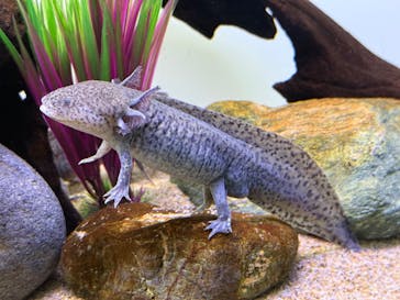 サンシャイン水族館に投稿された画像（2025/2/8）