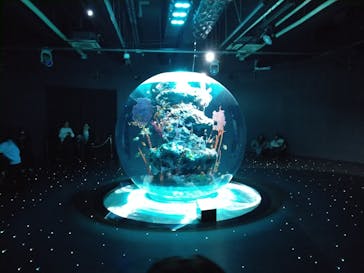 AQUARIUM × ART　atoaに投稿された画像（2025/2/8）