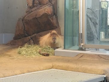 AQUARIUM × ART　atoaに投稿された画像（2025/2/8）