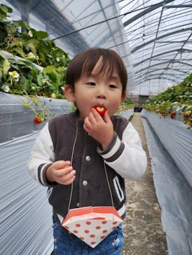 ウキウキランラン園に投稿された画像（2025/2/8）