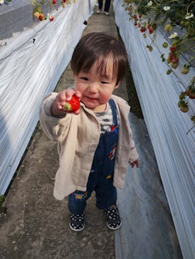 ウキウキランラン園に投稿された画像（2025/2/8）