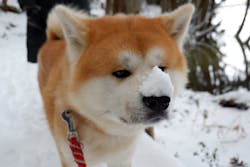 一般社団法人ヘルスケアデザイン秋田に投稿された画像（2025/2/8）