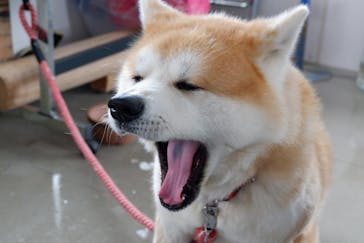 一般社団法人ヘルスケアデザイン秋田に投稿された画像（2025/2/8）